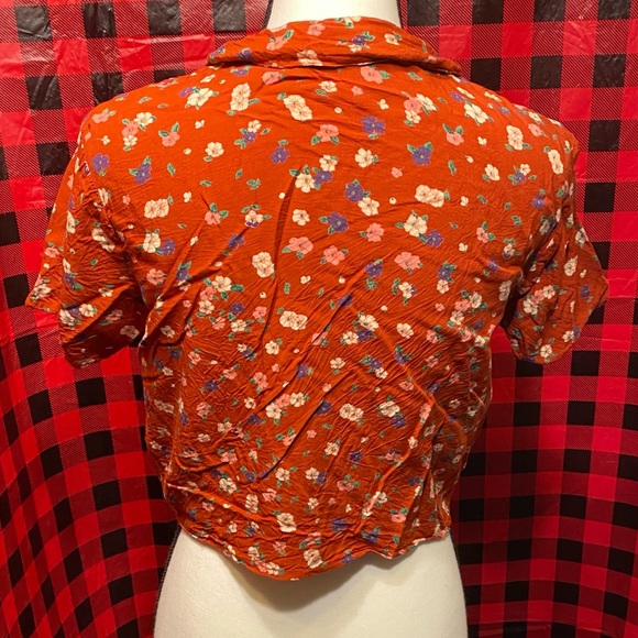 Ginger - Picture 3 of 5